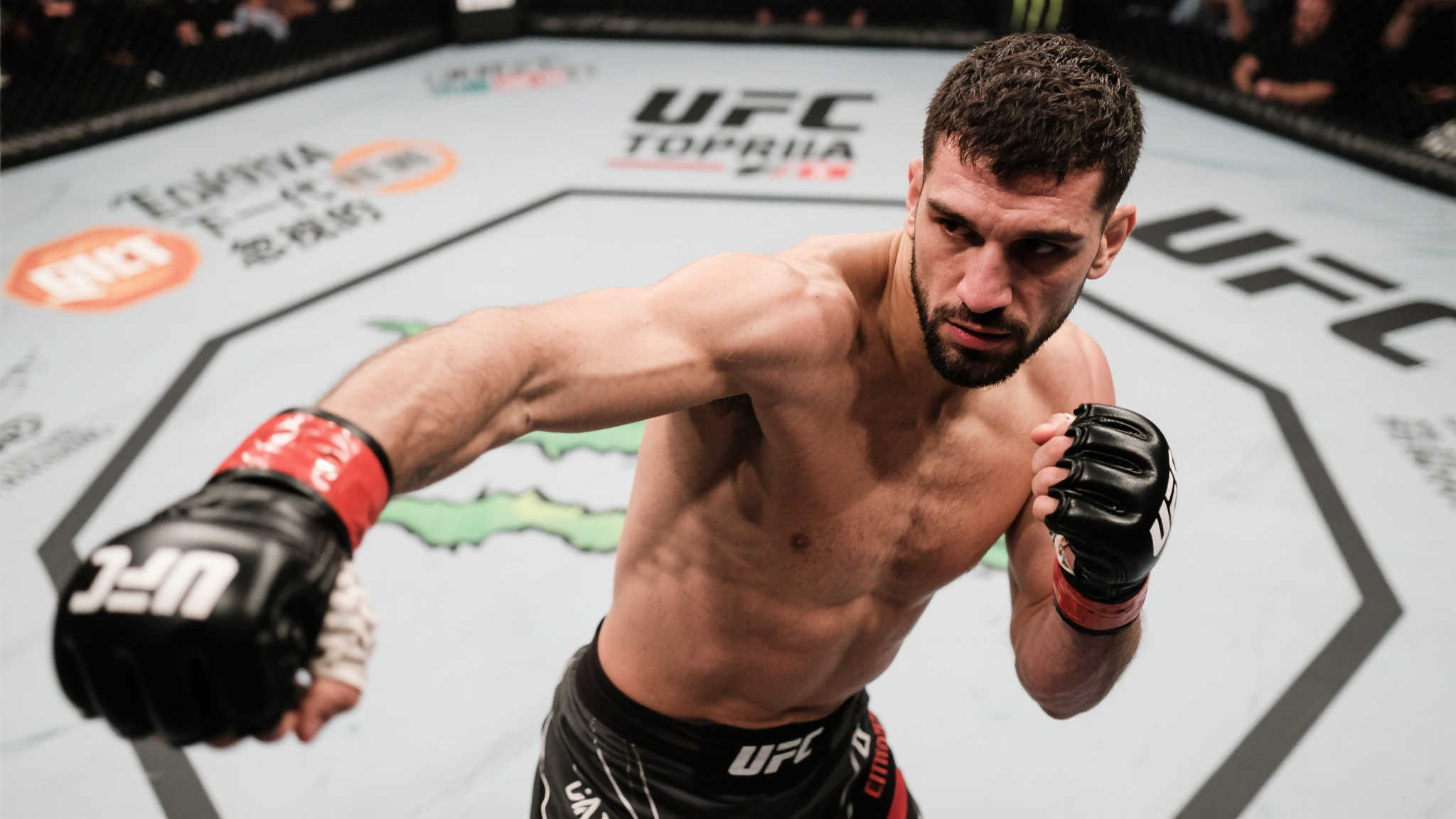 世界杯预测介绍